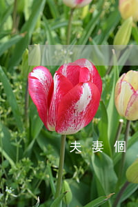 夫妻個(gè)人買的房子離婚如何處理