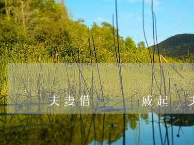 夫妻借錢給親戚起訴(夫妻之間借錢)