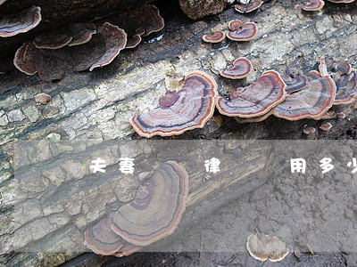 夫妻債務律師費用多少