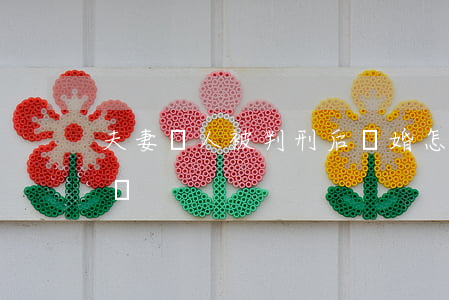 夫妻兩人被判刑后離婚怎么分(判刑離婚怎么離)