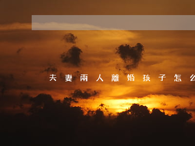 夫妻兩人離婚孩子怎么判