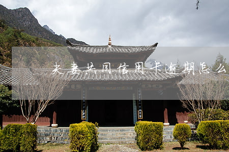 夫妻共同信用卡逾期怎么協(xié)商
