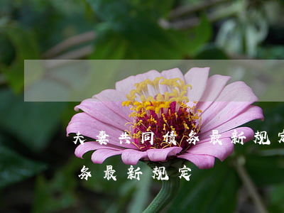夫妻共同债务最新规定-民法典夫妻共同债务最新规定