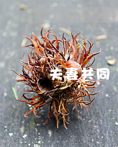 夫妻共同債務(wù)主要包括哪些方面