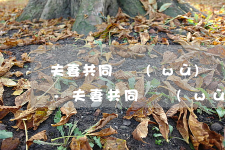夫妻共同債務(wù)暫時無力償還怎么辦-夫妻共同債務(wù)無法償還