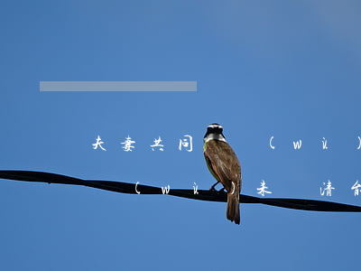 夫妻共同債務(wù)無力償還(夫妻共同債務(wù)未還清能辦理離婚嗎)
