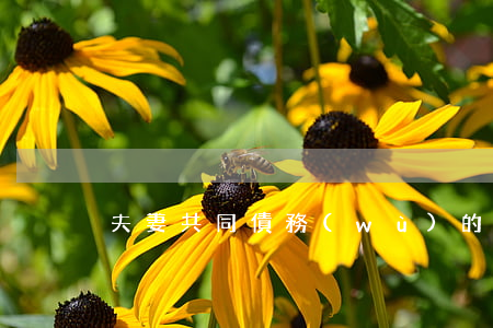 夫妻共同債務(wù)的認(rèn)定