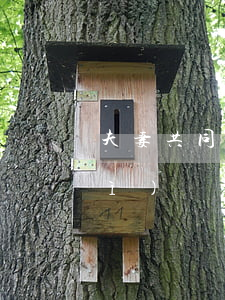 夫妻共同債務(wù)的類型和性質(zhì)