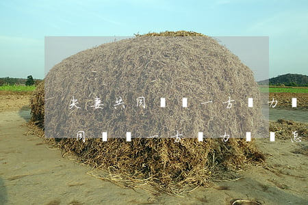 夫妻共同債務一方無力償還怎么辦-夫妻共同債務一方無力償還怎么辦理