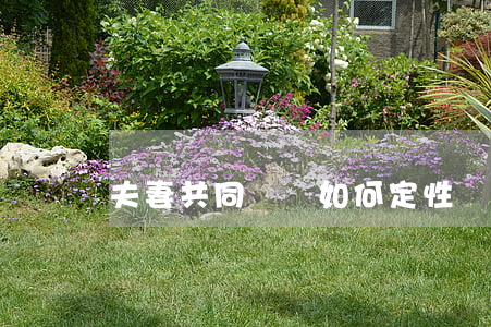 夫妻共同債務如何定性