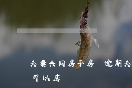 夫妻共同房子房貸逾期(夫妻一方有逾期記錄可以房貸嗎)