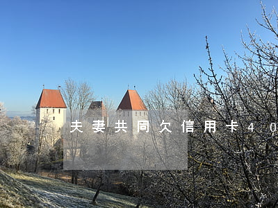 夫妻共同欠信用卡40萬怎么辦-
