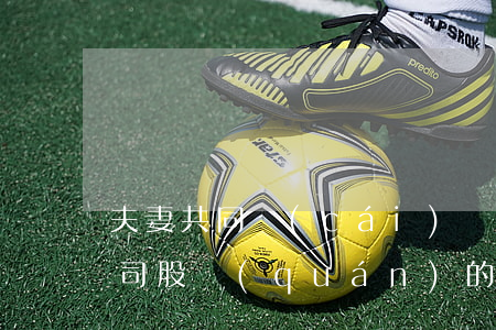 夫妻共同財(cái)產(chǎn)中公司股權(quán)的離婚分割