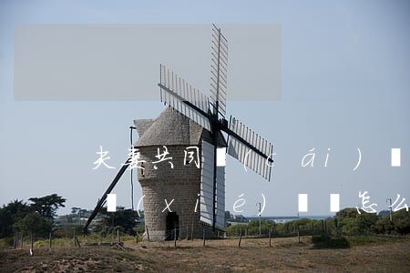 夫妻共同財(cái)產(chǎn)歸屬協(xié)議書怎么寫(夫妻共同財(cái)產(chǎn)歸屬協(xié)議書怎么寫才具有法律效力)