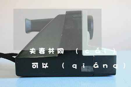 夫妻共同財(cái)產(chǎn)法院可以強(qiáng)制拍賣(mài)嗎(拍賣(mài)夫妻共同財(cái)產(chǎn)的規(guī)定)