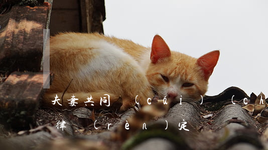 夫妻共同財(cái)產(chǎn)的法律認(rèn)定