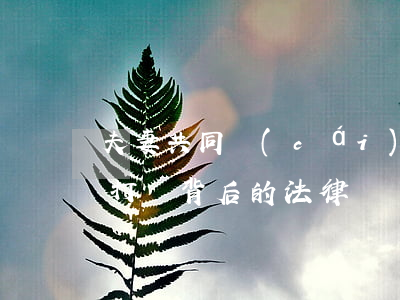 夫妻共同財(cái)產(chǎn)直播打賞背后的法律問題