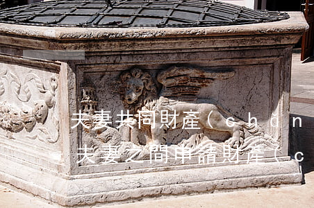 夫妻共同財產(chǎn)可以訴訟保全嗎(夫妻之間申請財產(chǎn)保全)