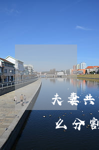 夫妻共同貸款(夫妻共同貸款買的房子離婚怎么分割)