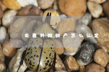 夫妻共同财产怎么认定