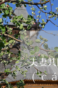 夫妻共同遺囑怎么寫法律才有效(夫妻共同財(cái)產(chǎn)遺囑怎么寫)