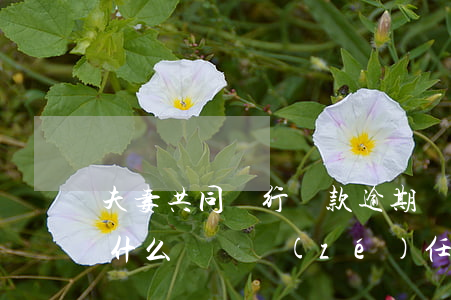 夫妻共同銀行貸款逾期(銀行貸款逾期夫妻有什么連帶責(zé)任)