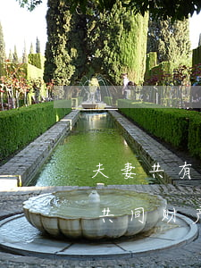 夫妻共有房产法院可以执行吗(法院执行夫妻共同财产能执行吗?)