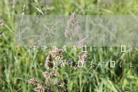 夫妻共有房產(chǎn)法院可以執(zhí)行嗎(法院執(zhí)行夫妻共同財產(chǎn)能執(zhí)行嗎?)