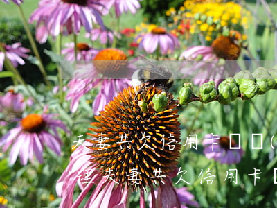 夫妻共欠信用卡債務(wù)80萬怎么處理（夫妻共欠信用卡債務(wù)80萬）