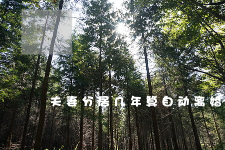 夫妻分居几年算自动离婚