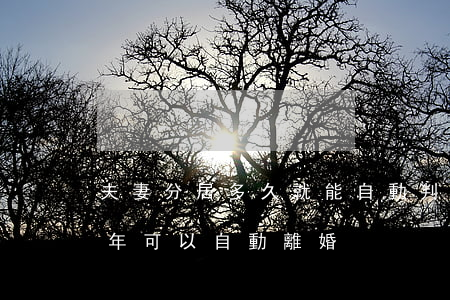 夫妻分居多久就能自動判離婚了(夫妻分居幾年可以自動離婚?)