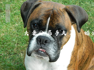 夫妻分居多久算離婚(分居多久算離婚?)