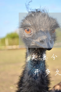 夫妻分居多久自动离婚合适吗(夫妻俩生活分开多久能自动离婚)