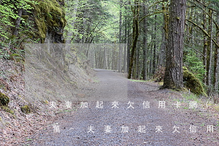 夫妻加起來欠信用卡網(wǎng)貸59萬-夫妻加起來欠信用卡網(wǎng)貸59萬會怎樣
