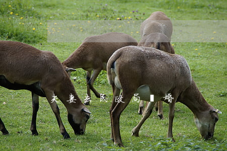 夫妻去民政局離婚