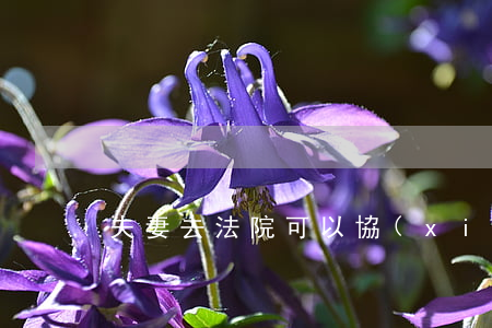 夫妻去法院可以協(xié)議離婚嗎