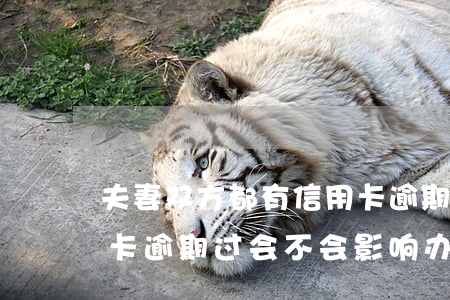 夫妻双方都有信用卡逾期-夫妻另一方信用卡逾期过会不会影响办理房贷