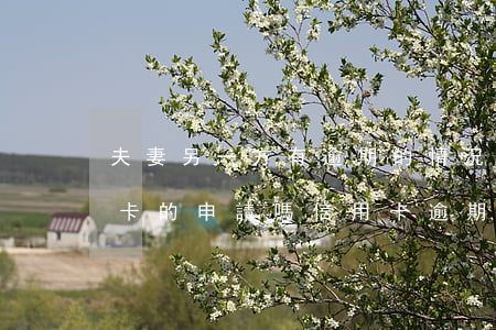 夫妻另一方有逾期的情況會影響另一方信用卡的申請嗎（信用卡逾期影響夫妻另一方房貸）