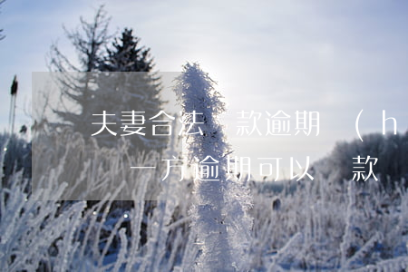 夫妻合法貸款逾期會(huì)怎樣(夫妻之間一方逾期可以貸款嗎)