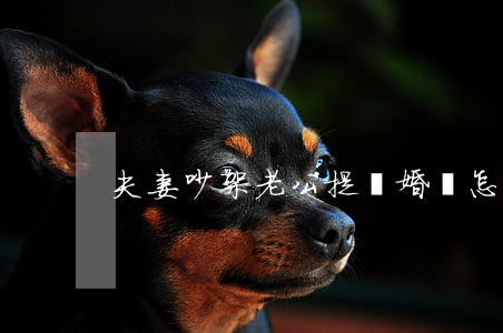 夫妻吵架老公提離婚該怎么辦