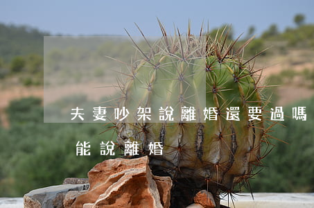 夫妻吵架說離婚還要過嗎(夫妻吵架為什么不能說離婚)