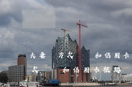 夫妻單方欠網貸和信用卡被起訴-夫妻單方欠網貸和信用卡被起訴怎么辦