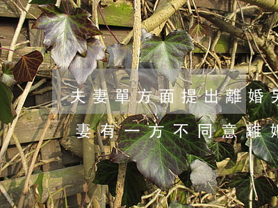 夫妻單方面提出離婚另一方不同意怎么辦(夫妻有一方不同意離婚的怎么辦?)