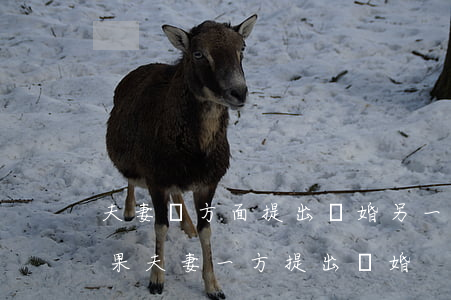 夫妻單方面提出離婚另一方不同意怎么辦(如果夫妻一方提出離婚)