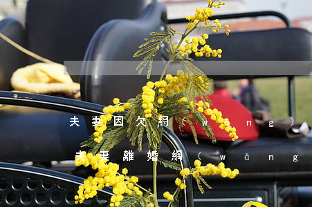 夫妻因欠網(wǎng)貸感情破裂怎么辦(夫妻離婚網(wǎng)貸債務(wù)怎么辦)