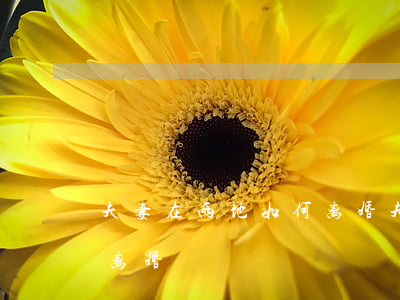 夫妻在两地如何离婚(夫妻分居两地怎么起诉离婚)