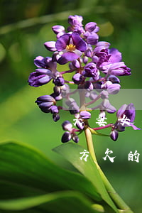 夫妻女方欠的信用卡離婚了怎么分-夫妻女方欠的信用卡離婚了怎么分割