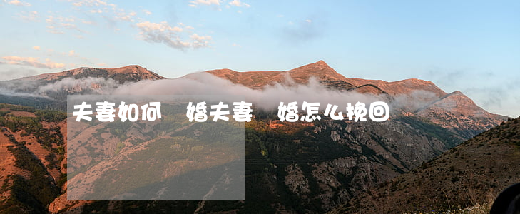 夫妻如何離婚(夫妻離婚怎么挽回)
