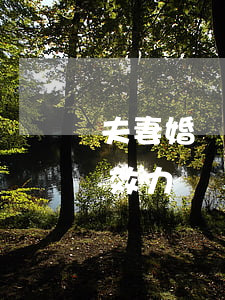 夫妻婚內(nèi)出具的借條有沒有法律效力