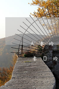 夫妻婚后財產(chǎn)離婚如何分配(夫妻離婚婚后財產(chǎn)怎么分配)